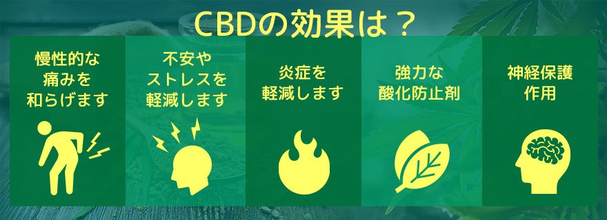 CBD（カンナビジオール）の働き